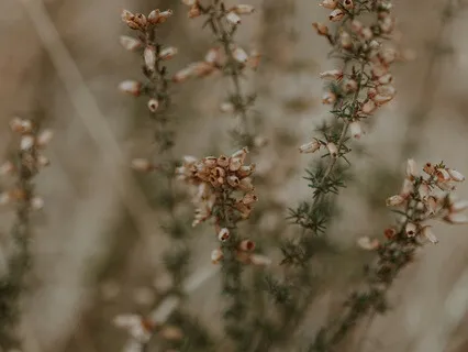 4-7-8 Breathing For Anxiety & Sleep Support