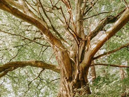 4 7 8 Breathwork Meditation For Anxiety And Stress