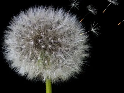 4-8-12 Breathing For Writers