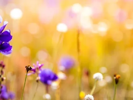 Alternate Nostril Breathing