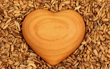 4 Elements Seed Meditation 