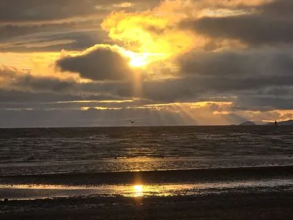 4 Hours of Celestial Harp - Relax, Dive, Soar