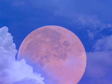 4 Hours Of Cozy Classic Sleep Stories