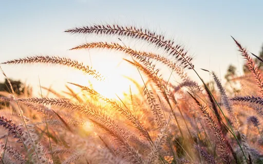 4 Min Kroppscanning/ Kroppskanning Mindfulnessmeditation