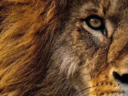 4-Minute Affirmations For Inner Strength