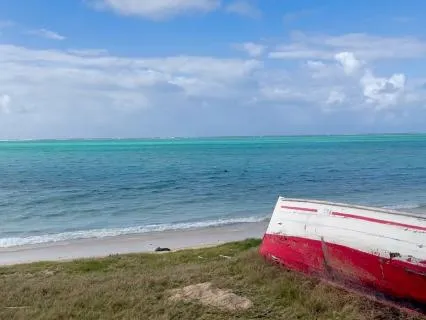 4 Minute Anxiety Reset, Sparse Piano and Ocean Waves