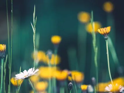 4-Minute Appreciation Meditation: Lead With Gratitude