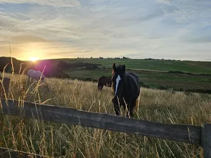 4-Minute Energy Boost: Reignite Your Vitality