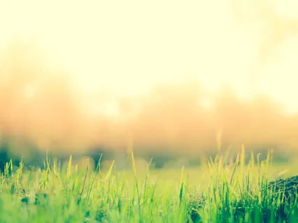 4-Minute Loving-Kindness Meditation