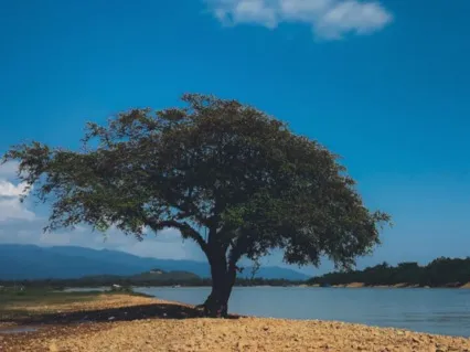 4 Minute Meditation For Calm