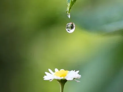 4-Minute Mindfulness Practice - Be Present Anywhere
