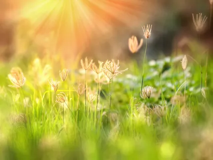 4-Minute Morning Energy Lifting Meditation