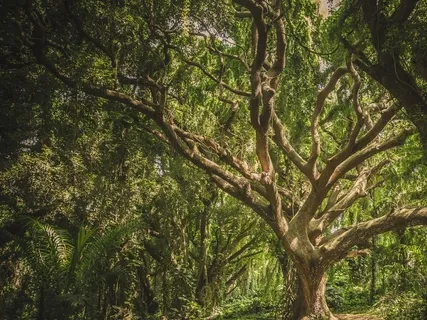 4 Minute Morning Gratitude Practice