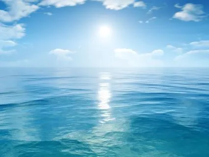 4-Minute Nervous System Reset