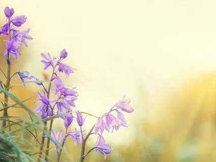 4 Minute Reset: Appreciation Over Criticism