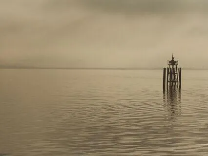 4-Minute Reset: From Stress To Calm