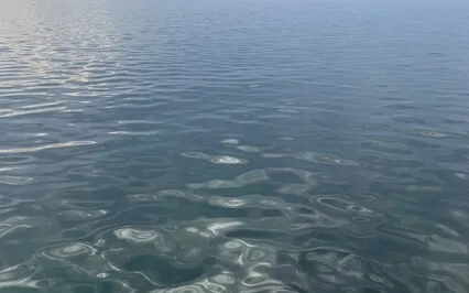 4 Minutes With Rain In The Countryside