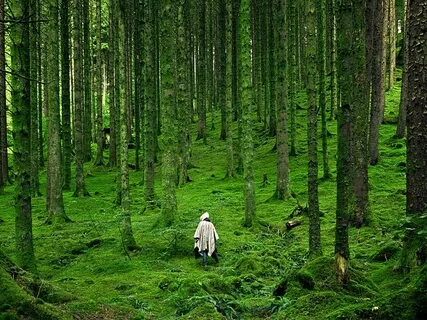 4/22 Channeled Energy Work Meditation: Djehuty & Metatron