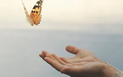 4 Questions To Ask Yourself To Relieve Pain & Suffering 