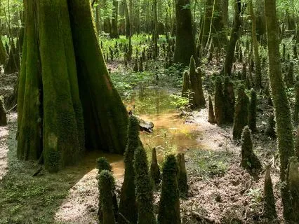 4 Smart Strategies For Prolonged Productivity