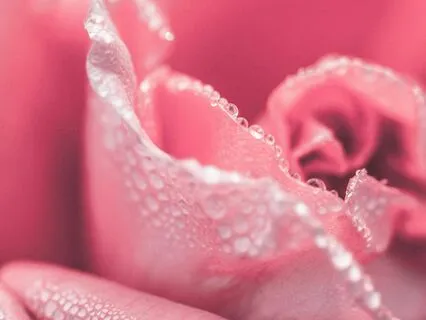 4 Steps To Overcoming Fear