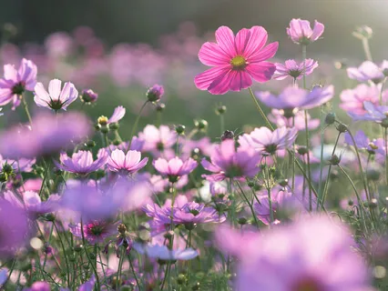 Steps To Transcendent Self-Confidence