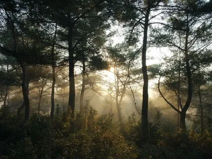 4 Techniques for Relaxing and Calming Yourself