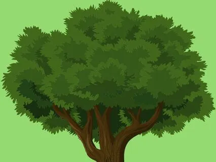 4 The Natural World Sleep Series - Plant Processes