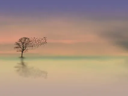 4 Things That Can Kill Your Relationship (The Four Horsemen)