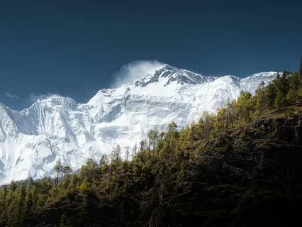 Anapanasati 15 Min : Vipassana Meditation Part 1 - Day 1 — 4