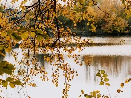 4. With Every Breath, I Return To Peace