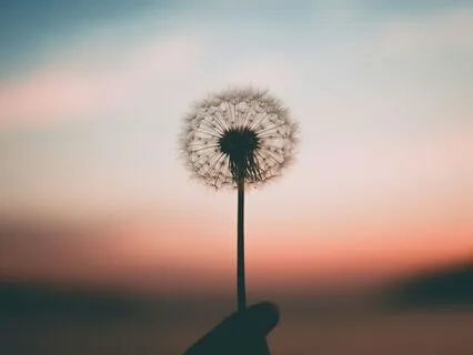 40 Hz Binaural Beats | Improve Focus & Mental Clarity