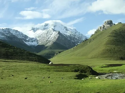 Awareness Of Breath—Trauma-Informed Practice