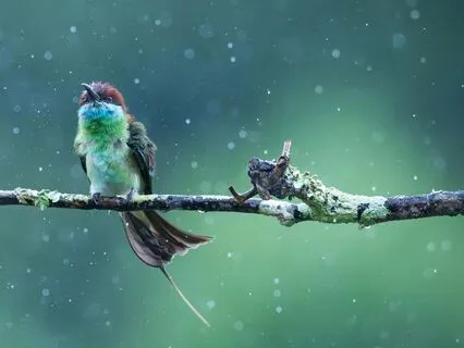 40 Minute Yoga Nidra For Deep Rest And Acceptance