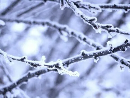 40-Minute Yoga Nidra For Holiday Stress