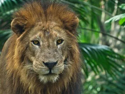 40-Minute Yoga Nidra To Ignite Your Purpose And Power