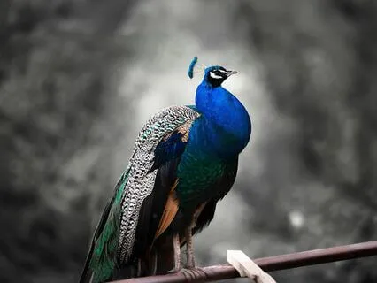 Yoga Nidra To Reduce Nervousness & Anxiety