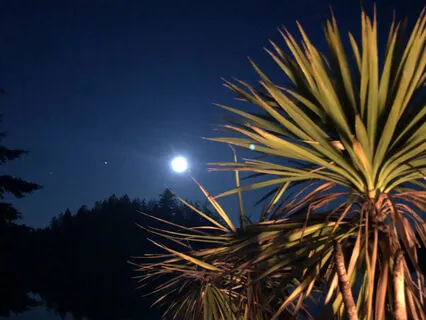 40 Minute Yoga Nidra With Ocean Waves For Relaxation