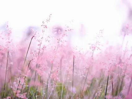 40 Minuten Meditationsmusik