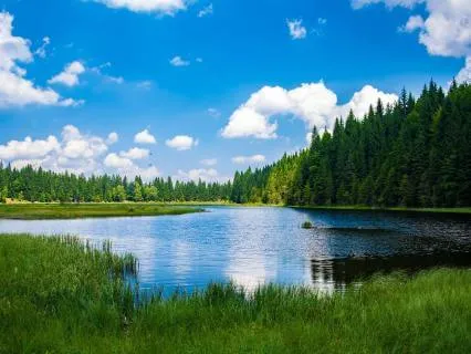 40Hz: Boost Memory, Focus & Productivity