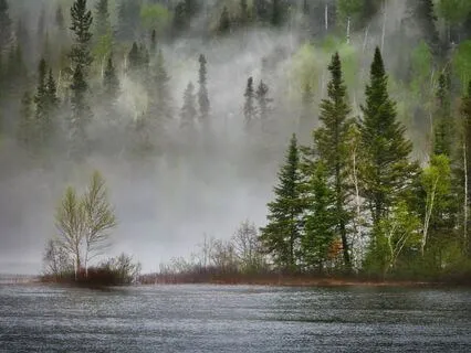 417 Hz - "Re" (Resonare Fibris)