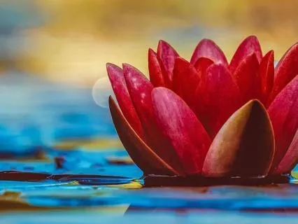 417 Hz (Release Trauma)