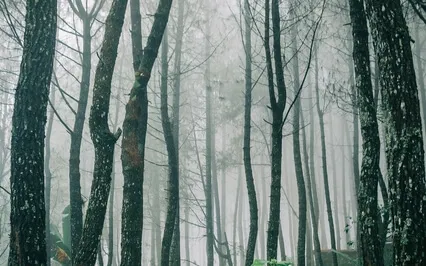 417 Hz - Remove All The Negative Energy In And Around You