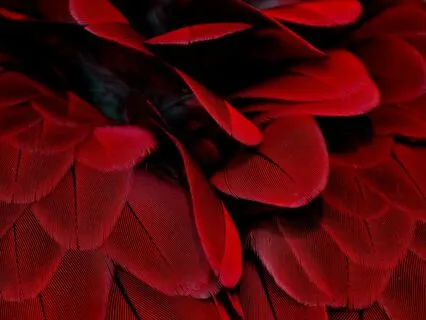 417 Hz Solfeggio Frequency Meditation - Trauma Cleanse