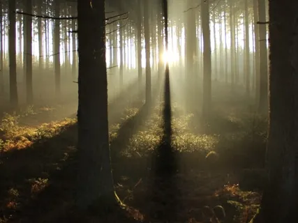 417Hz [Cleanse] Remove All Negative Energy From Mind & Body