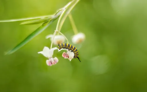 417Hz Hand-Carry Transformation (Solfeggio Frequency)