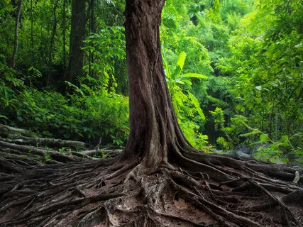 Step Into Deep Awareness Of Who You Are