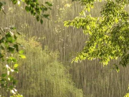 432, 528, 963 Hz Tuning Fork Blessings (Rain)