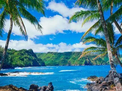 432 + 528 Hz Tuning Forks (Alpha, Gamma, Deep Sea Sounds)