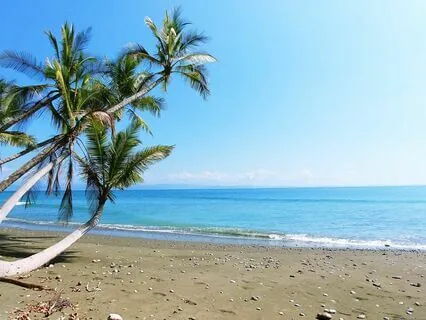 432 Costa Rica Solfeggio Cymatic Hand Pan Nature Reset